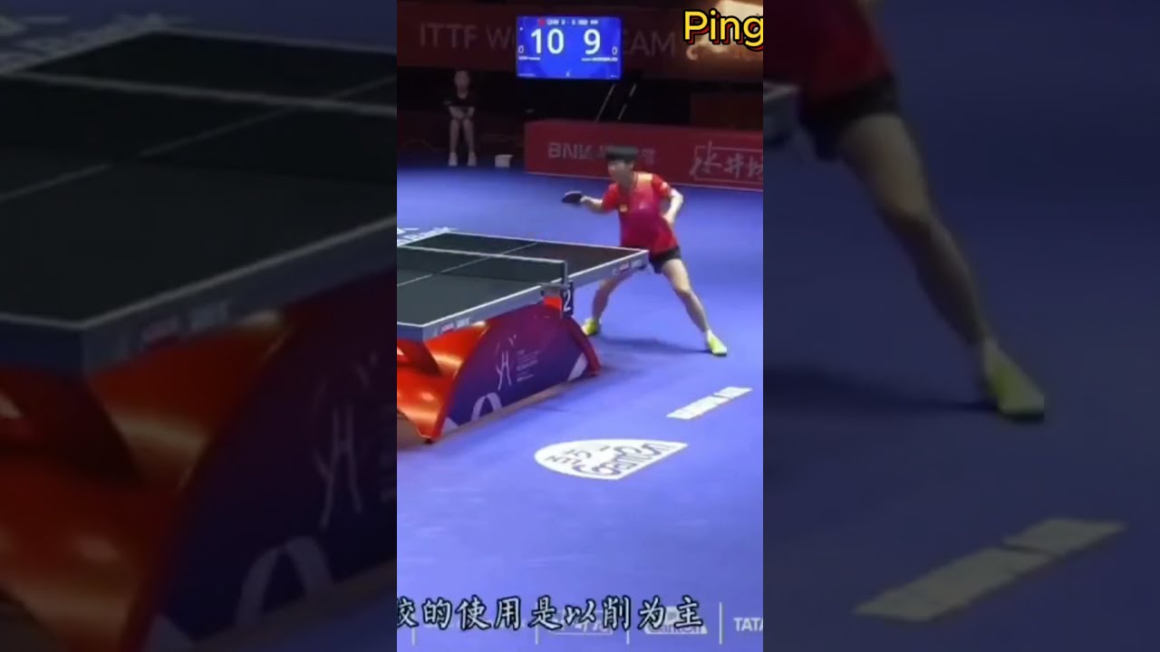 球迷與專業