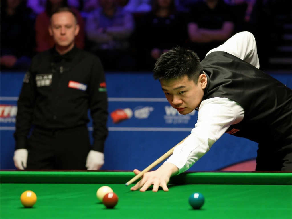 这为他们培 这为他们培